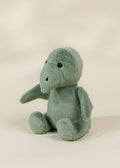 Pterodactyl Plush Toy